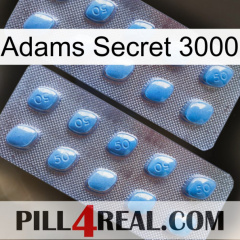 Adams Secret 3000 viagra4